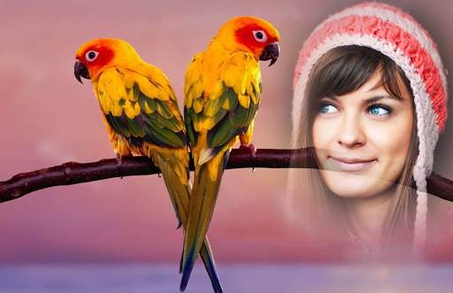 Love Birds Photo Frames screenshot 3