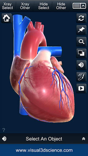 My Heart Anatomy screenshot 2