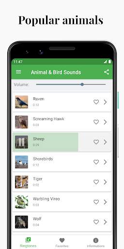 Suoni di uccelli e animali screenshot 3