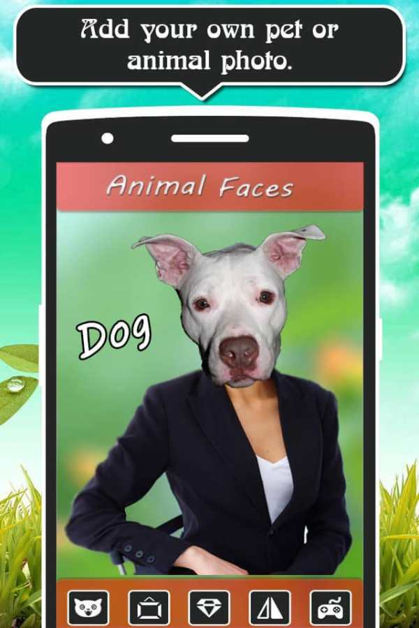 Animal Faces screenshot 6