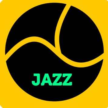 JAZZ BROWSER screenshot 4