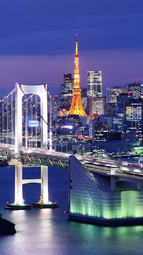 Bridge Wallpaper HD screenshot 6