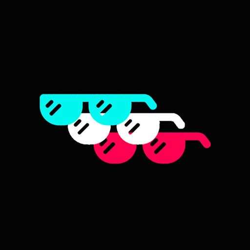 TikFilter - Filters for Videos 1.4