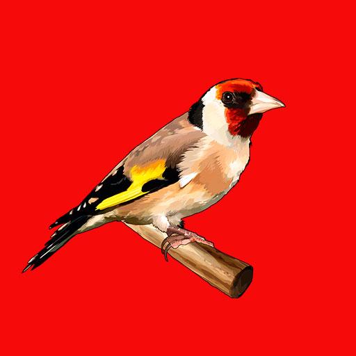 Goldfinch song icon