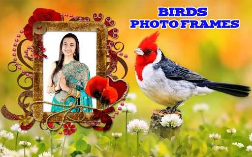 Birds Photo Frames скриншот 3