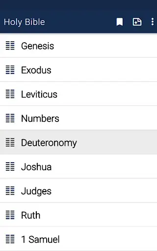 Bible offline audio app screenshot 2