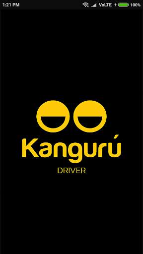KANGURU DRIVER screenshot 2