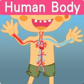 Human Body BU 2.0