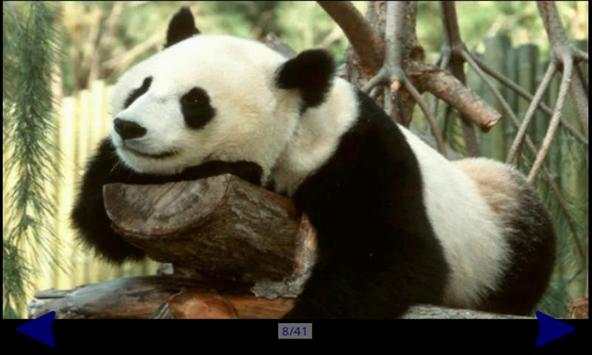 Panda Gallery HD screenshot 3