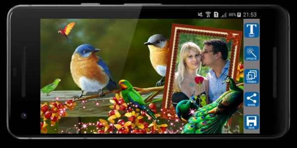 Love Birds Photo Frames screenshot 8