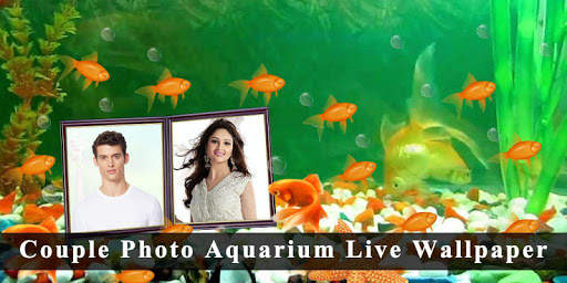 Couple Photo Aquarium Live Wallpaper 2020 4 تصوير الشاشة