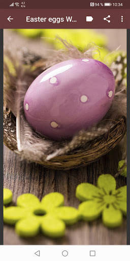 Easter eggs Wallpapers screenshot 4