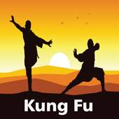 Shaolin Kung Fu 1.0