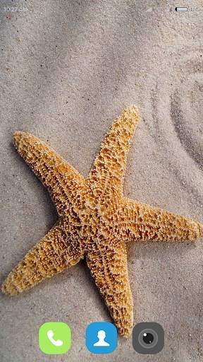Starfish Wallpaper 4K screenshot 1