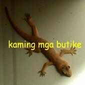 Butike Pinoy Song logo