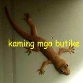 Butike Pinoy Song 2.0