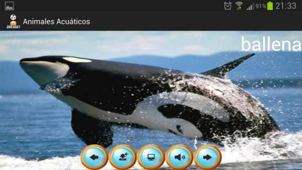 Zoo Baby - English Edition screenshot 3