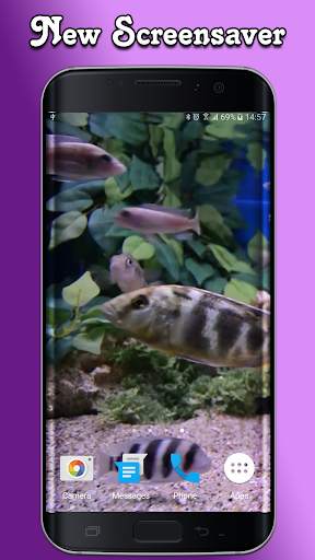 Aquarium Video Wallpaper screenshot 3