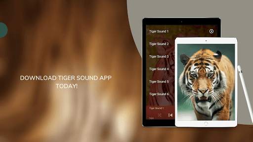 Tiger Sounds screenshot 2