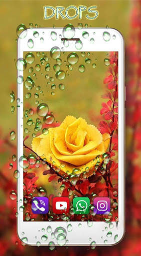 Roses Autumn Live Wallpaper screenshot 3