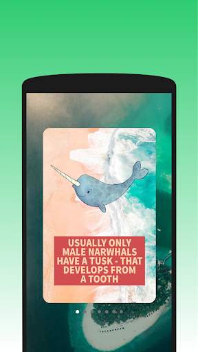 Did You know That Fact? screenshot 4