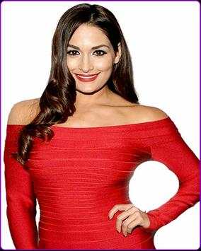 Nikki wwe Bella Wallpaper HD screenshot 3