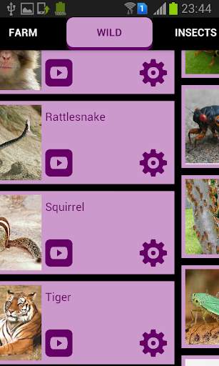 Animal Sounds & Ringtones screenshot 7