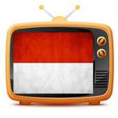 TV Channels Indonesia logo