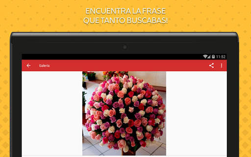 Rosas de Colores para Enamorar 10 تصوير الشاشة