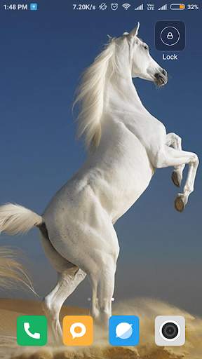 Horse Wallpaper HD screenshot 10