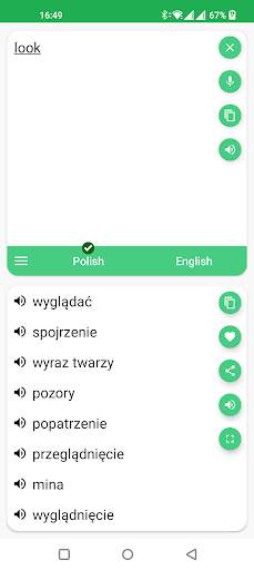 Polish - English Translator скриншот 3