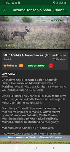 Tanzania Safari Channel स्क्रीनशॉट 3