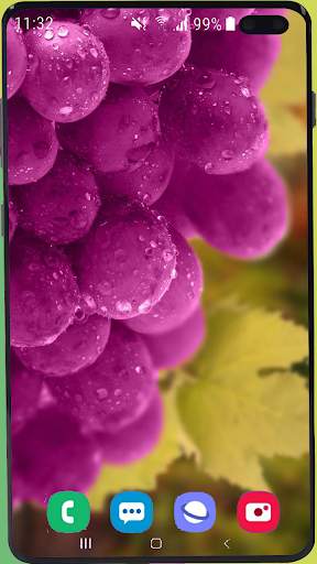Fruit Wallpaper Best HD screenshot 9