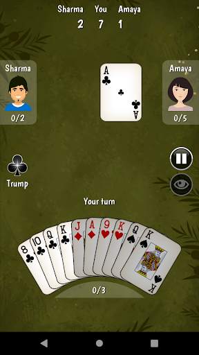 325 Card Game screenshot 4