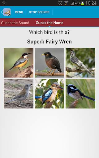 Australian Birds Sounds Free स्क्रीनशॉट 6