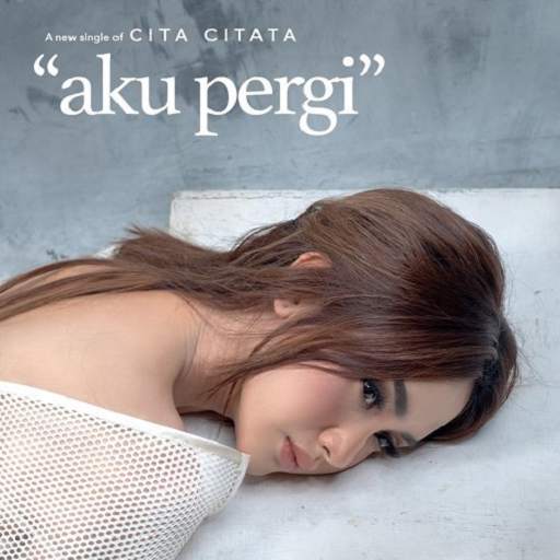 Lagu Cita Citata Mp3 Offline screenshot 3
