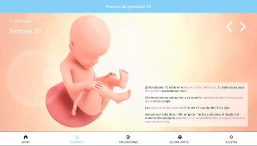 Tu Embarazo screenshot 7