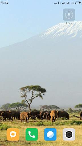 Safari HD Wallpaper screenshot 6