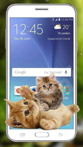 Funny Cat Walks On Screen - Cute Animation screenshot 6