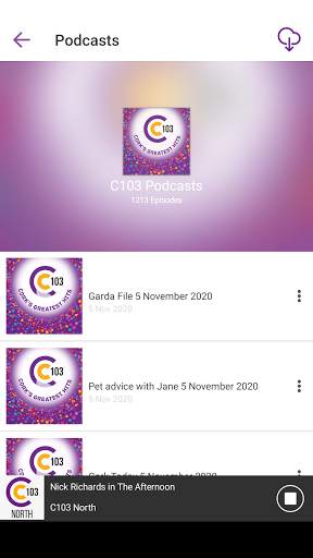 C103 Cork screenshot 2