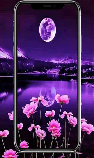 Dream Night Free Wallpaper screenshot 2