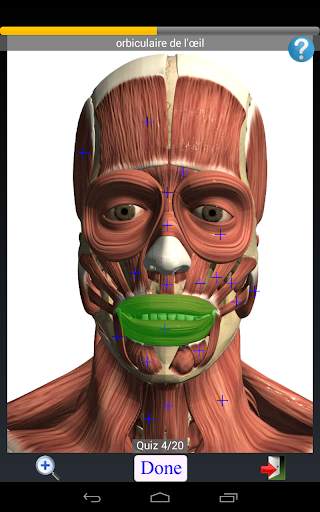 Anatomy Quiz screenshot 10