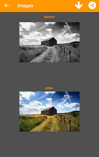 Black and White Photo Colorizer - Chromatix screenshot 1