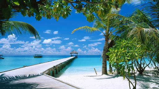 Summer Wallpapers : backgrounds hd screenshot 17