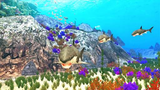 The Shark screenshot 2