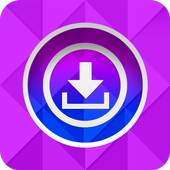 HD-Video Downloader 1