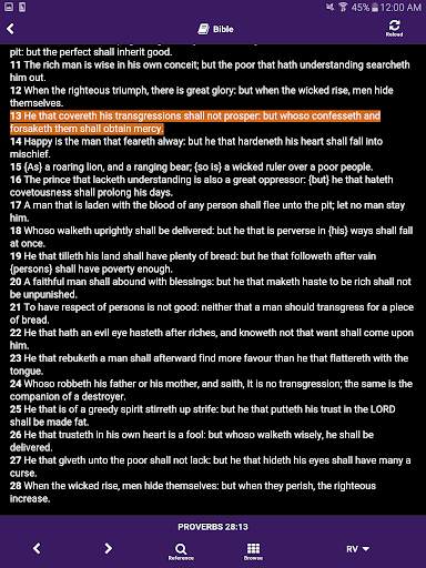 SDARM Mobile XP screenshot 11