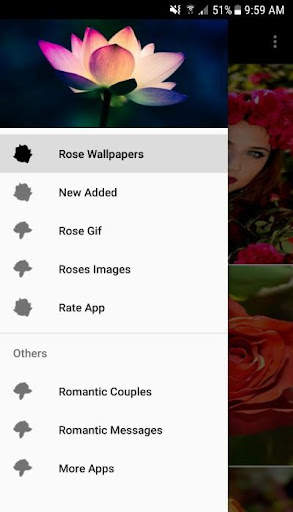 Rose Wallpaper screenshot 2