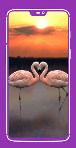 Flamingo Wallpaper screenshot 8