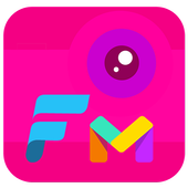 Flipa mini icon